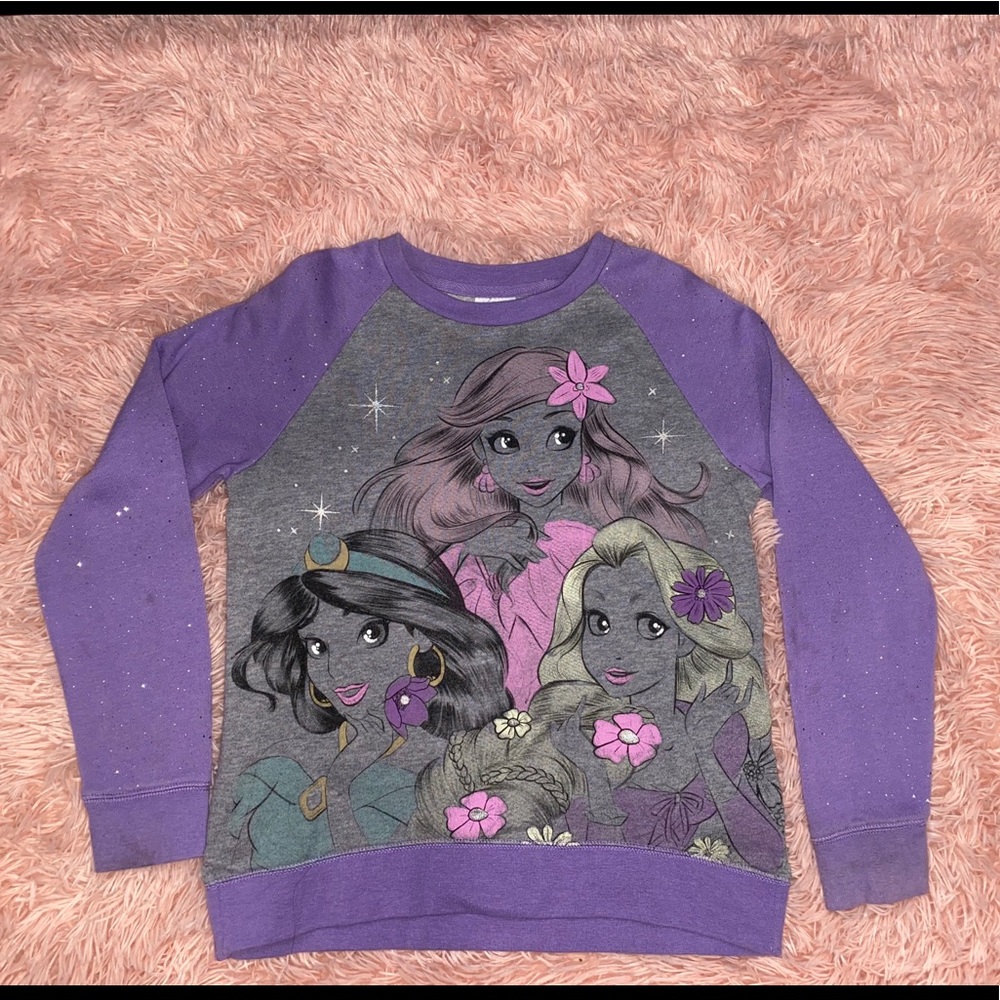Disney Princess sweater